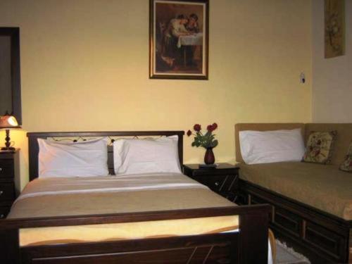 קוניטסה Gerakofolia Rooms To Let מראה חיצוני תמונה